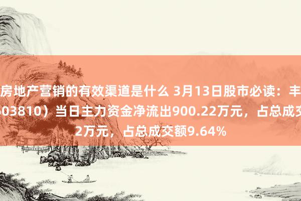 房地产营销的有效渠道是什么 3月13日股市必读：丰山集团（603810）当日主力资金净流出900.22万元，占总成交额9.64%