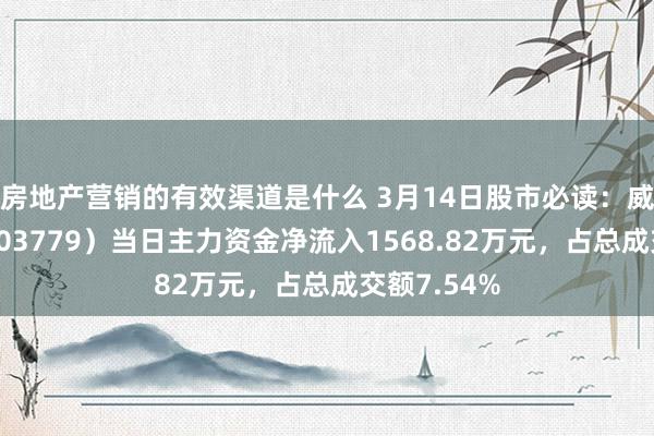 房地产营销的有效渠道是什么 3月14日股市必读：威龙股份（603779）当日主力资金净流入1568.82万元，占总成交额7.54%