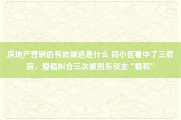 房地产营销的有效渠道是什么 同小区看中了三套房，遵循纠合三次被别东谈主“截和”